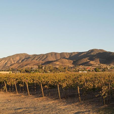 Casa Entrevez Bed and Breakfast Valle de Guadalupe Εξωτερικό φωτογραφία