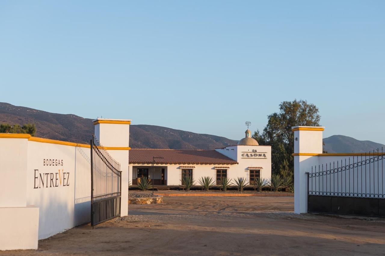 Casa Entrevez Bed and Breakfast Valle de Guadalupe Εξωτερικό φωτογραφία