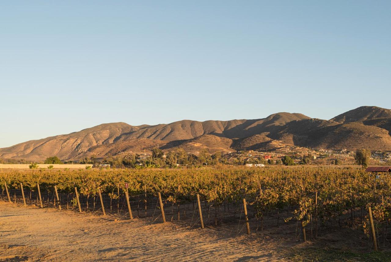 Casa Entrevez Bed and Breakfast Valle de Guadalupe Εξωτερικό φωτογραφία